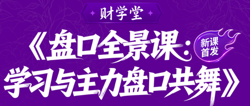 雨禾《盘口全景课：学习与主力盘口共舞》盘口系统课
