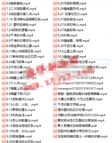 野人哥(全能的野人)视频课程2025(短线情绪与盘感趋势波段买点洗盘对倒量化等)